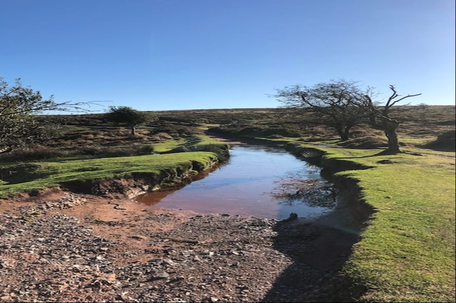 Cover image for article: Avoid Riparian Land Pitfalls: A Step-by-Step Guide for Buyers
