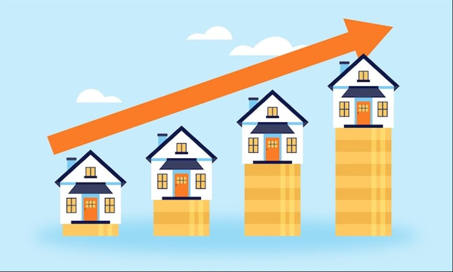 Cover image for article: Top Tips to Maintain Your Home’s Value for Long-Term Property Growth