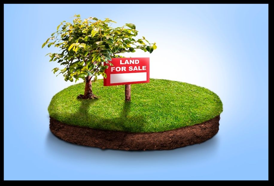 Cover image for article: From Dream to Reality: How to Buy Land with Confidence
